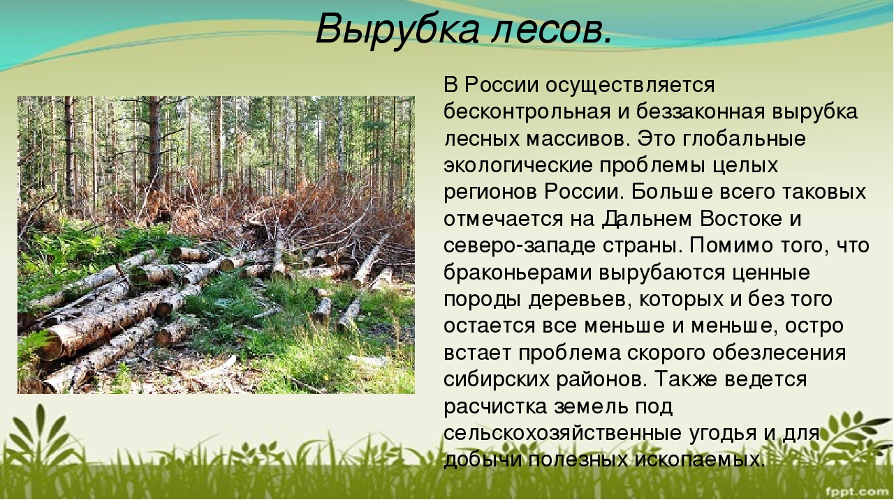 Открыть оригинальное изображение