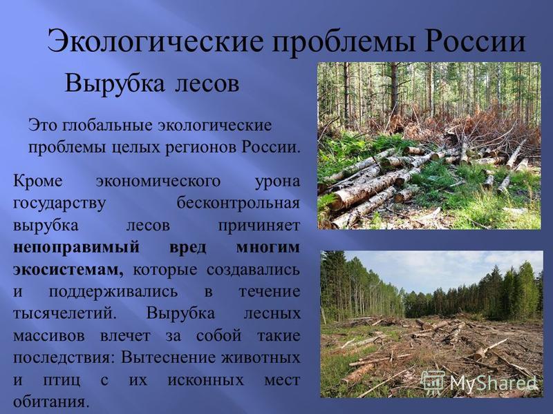 Открыть оригинальное изображение