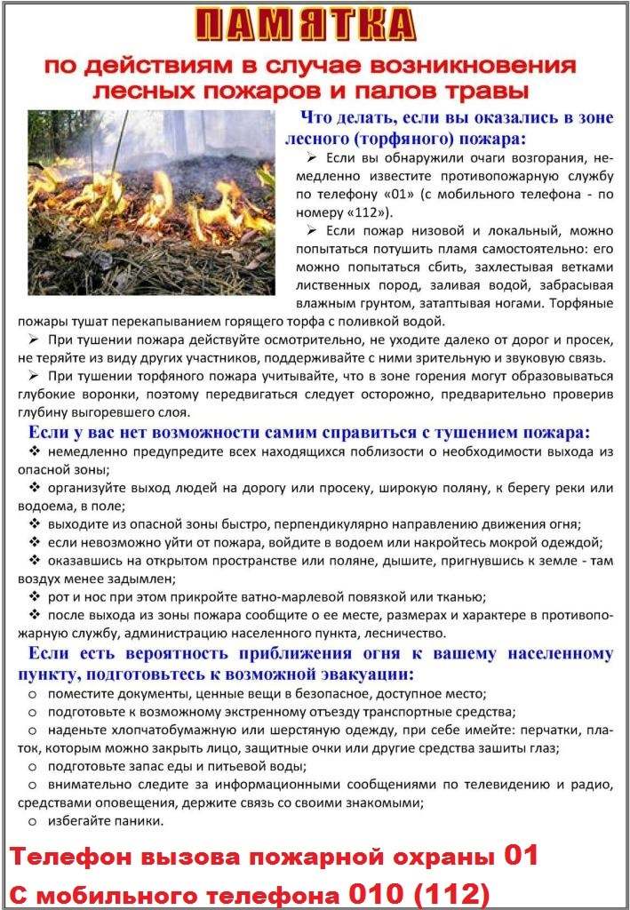 Открыть оригинальное изображение